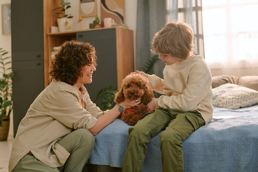 Similar image 22215958