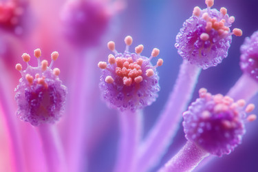 Similar image 22221498