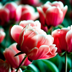 Similar image 22229282