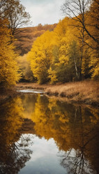 Similar image 22229285