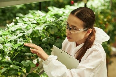 Similar image 22219122