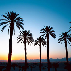 Similar image 22229313