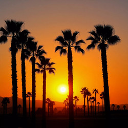 Similar image 22229314