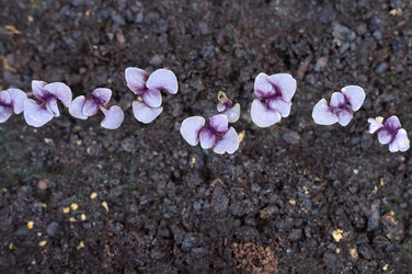 Similar image 22228158