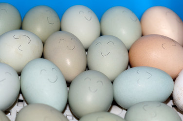 Similar image 22228159