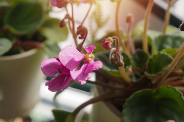 Similar image 22228160