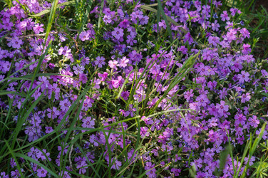 Similar image 22228162