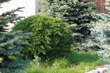 Similar image 22228163