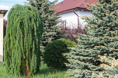 Similar image 22228164