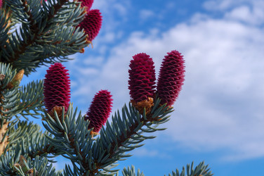 Similar image 22228165