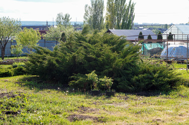 Similar image 22228166