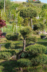 Similar image 22228167