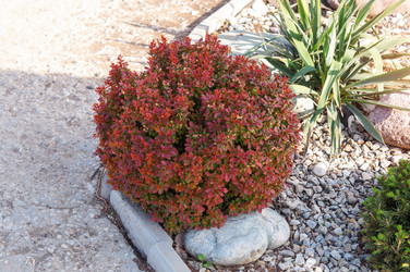 Similar image 22228168