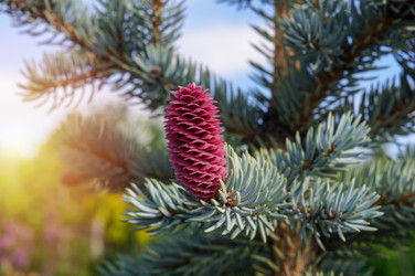 Similar image 22228169