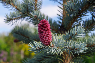 Similar image 22228171