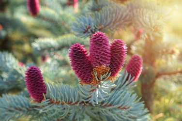 Similar image 22228173