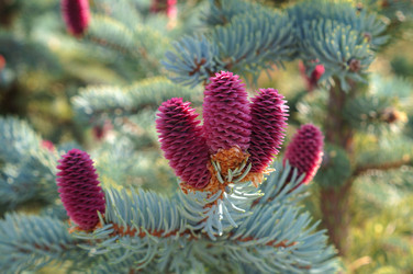 Similar image 22228174