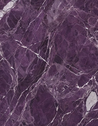 Similar image 22229323