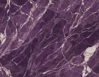 Similar image 22229345