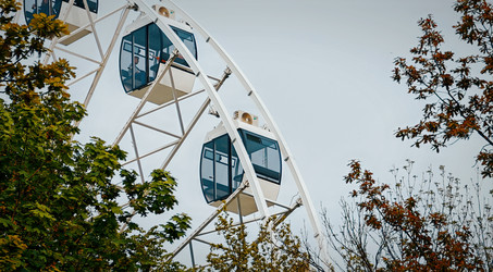 Similar image 22213230