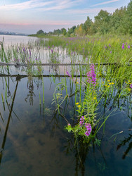 Similar image 22213247