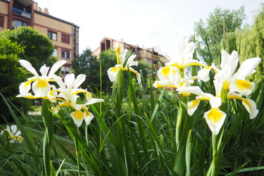 Similar image 22229360