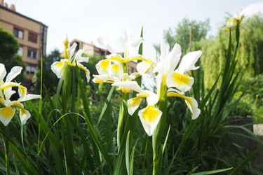 Similar image 22229361