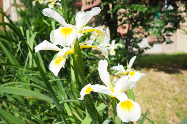 Similar image 22229362