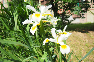 Similar image 22229363