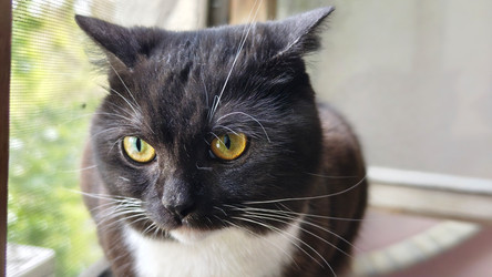 Similar image 22213272