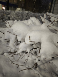 Similar image 22213276