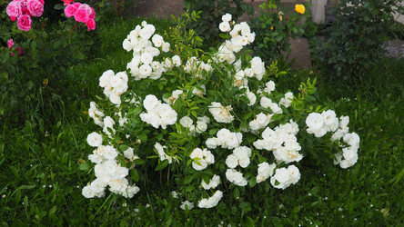 Similar image 22229364