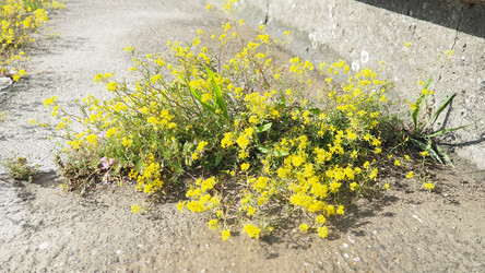 Similar image 22257605