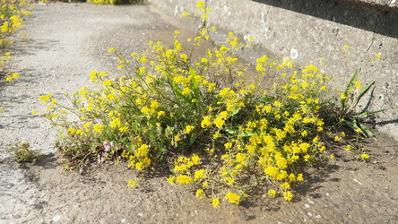 Similar image 22257606