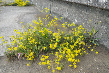 Similar image 22257607