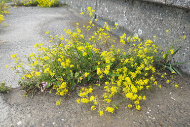 Similar image 22257608