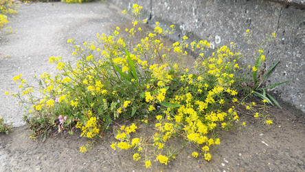 Similar image 22257609