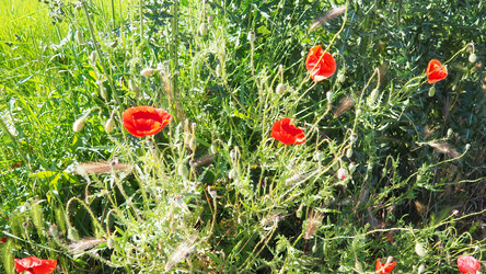 Similar image 22257615