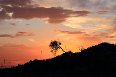 Similar image 22210663