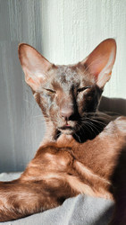 Similar image 22224305