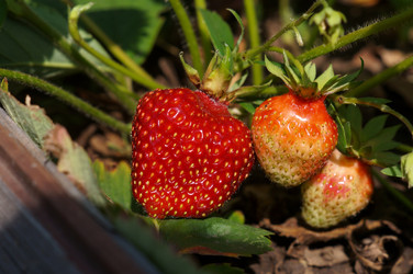 Similar image 22228175