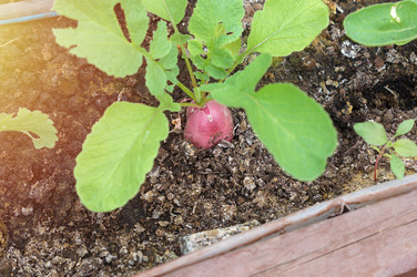 Similar image 22228176