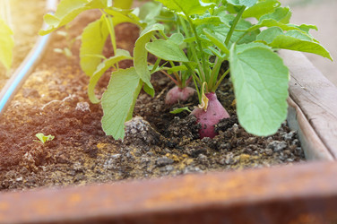 Similar image 22228177