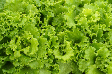 Similar image 22228181