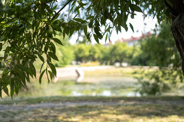 Similar image 22231078