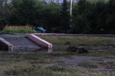 Similar image 22231079