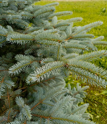 Similar image 22222516