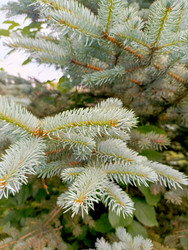 Similar image 22222518