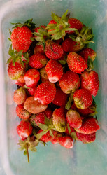 Similar image 22222521