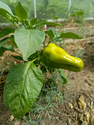 Similar image 22222523